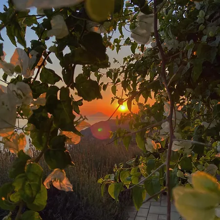 Alloggio per agriturismo Country Monte Delle Cristule Città di Lipari